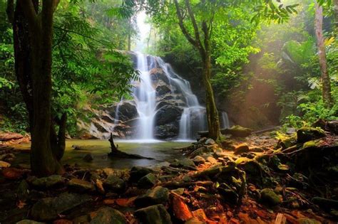 Click now to check the details! Kanching Waterfall | Waterfall wall art, Waterfall ...