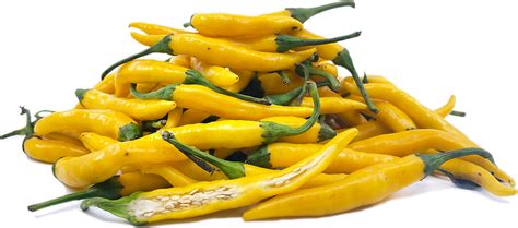 Hot Lemon Peppers Information And Facts