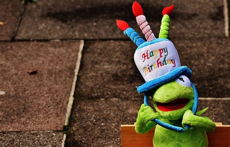Hd Wallpaper Kermit The Frog Wearing Happy Birthday Headband