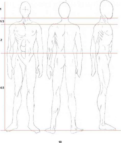 Anime Boy Body Structure