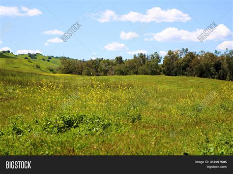 Lush Green Hillsides Image And Photo Free Trial Bigstock