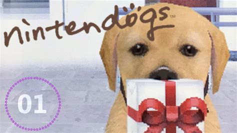 Then go to the options menu and click on the clock. Nintendogs (Dalmata): A new beginning ITA - YouTube