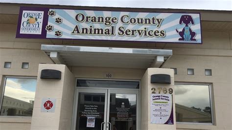 Visiting Kittens And Puppies At Orange County Animal Services Youtube