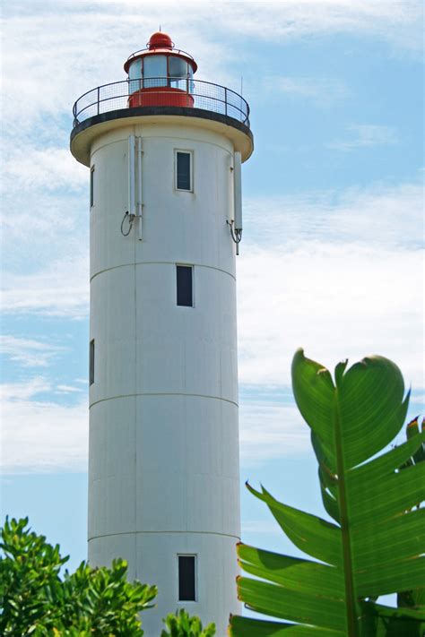 White Lighthouse And Palm Free Stock Photo Public Domain Pictures