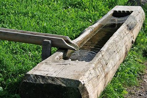Top 60 Wood Water Trough Stock Photos Pictures And