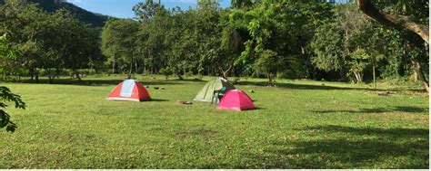 Aventura Camping Dosis Verde