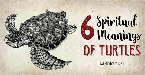 Spiritual Meaning Of A Turtle 6 Secret Symbolism And Totems