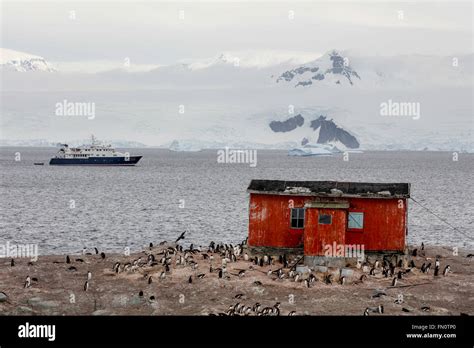 Abenteuer Tourismus Antarktis Fotos Und Bildmaterial In Hoher