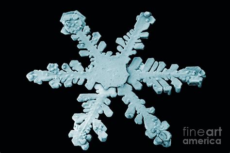 Snow Crystal Photograph By National Snow And Ice Data Center Fine Art