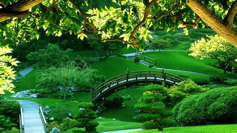 Background Full Hd Beautiful Garden Photo