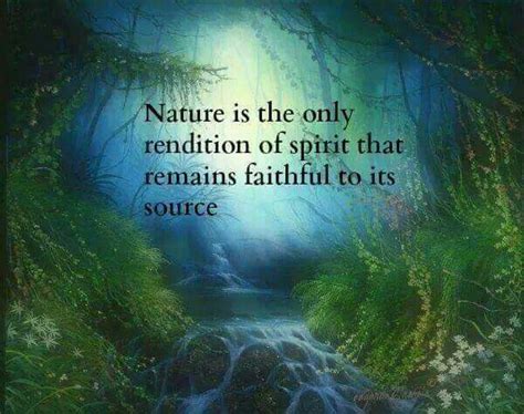 Pin By Druid Ravenscout On Druid Spirit Nature Quotes Nature