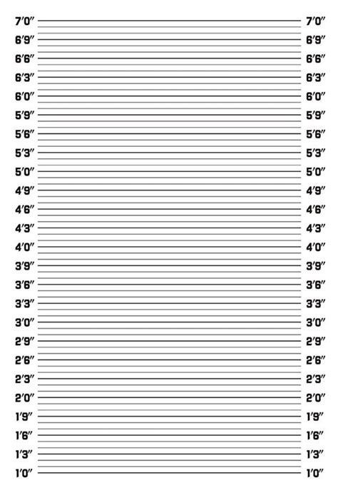 It is an informal term, but in common use. Mugshot Police Lineup Photo Background Photography Backdrop Quality Vinyl -in Background from ...