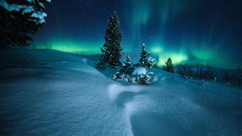 Polar Lights At The Arctic Circle Backiee