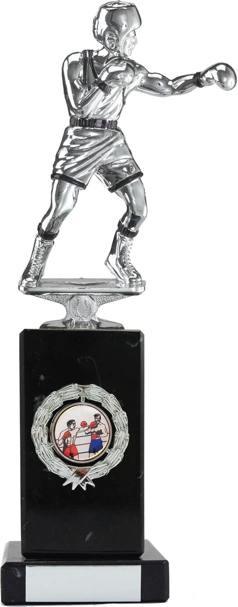 Boxing Series Trophy Silver With Black Highlights 1401a Sports