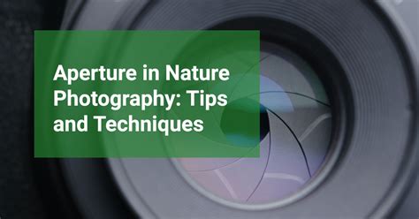 Aperture In Nature Photography Tips And Techniques Barefoot Brian