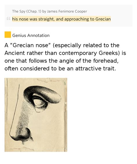 Significado de grecian nose en en inglés. His nose was straight, and approaching to.. - The Spy ...