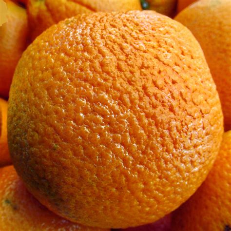 Orange Closeup Free Stock Photo Public Domain Pictures