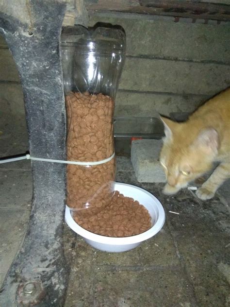 Follow diycozyhome.com on facebook and bring more this is a super simple design that will make storing your canned food a breeze. Street Cat food dispenser / feeder - DIY | Diy cat food ...