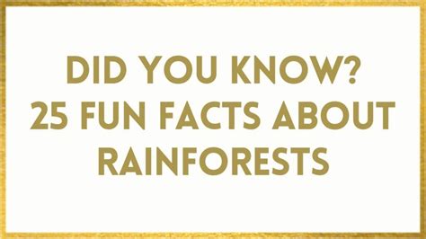 Facts About Rainforests 25 Fun Rainforest Facts To Wow You