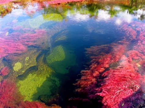 Each Year This River Creates The Most Beautiful Colors Imaginable You