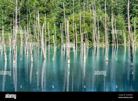 Biei Hokkaido Blue Pond Hi Res Stock Photography And Images Alamy