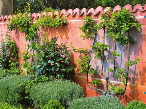 Inspirerez vous des petits jardins londonien peu d'espace, tout en longueur mais bourré de charme. Décoration de jardin - Elle Décoration | Habillage mur ...
