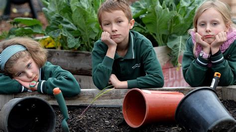 Thieves Have Been Targeting Fruit And Vegetable Gardens In School
