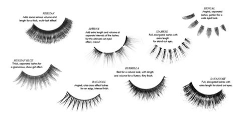 amiram types of fake lashes