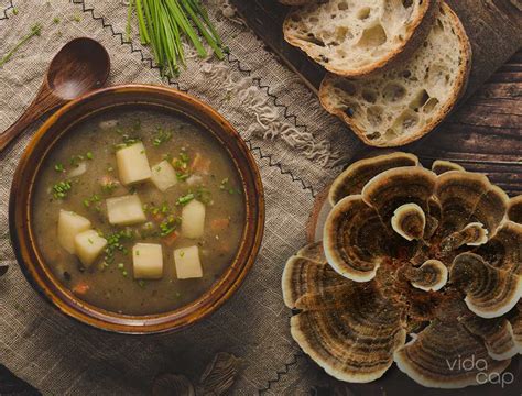 turkey tail mushroom soup recipe immune boosting vegan soup