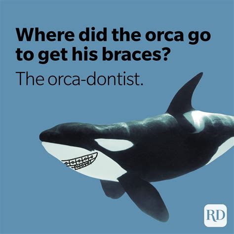 56 Dentist Jokes You Can Sink Your Teeth Into Reader S Digest