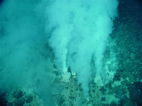 | meaning, pronunciation, translations and examples. Hydrothermal Vent Chemistry and Life | National Geographic ...