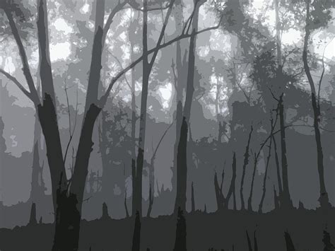 The Dark Forest Digital Art By Funky Art Pixels