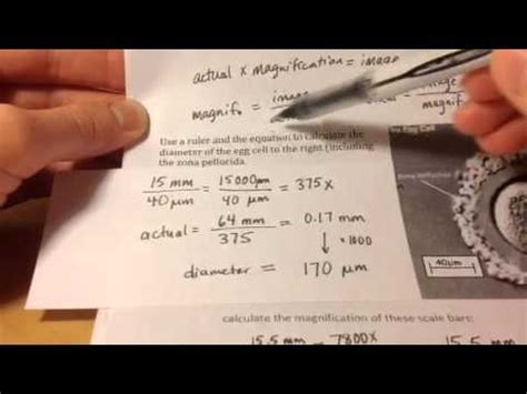 Scale ratio could be set by yourself, supports different length enter the number of scale length, the real length will be calculated automatically. Calculating magnification from a scale bar - YouTube