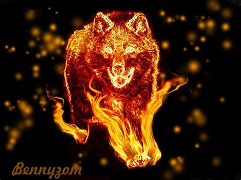| see more beautiful wolf wallpapers, awesome wolf looking for the best wolf wallpaper? Blue Flame Wolf Live Wallpaper - WallpaperSafari