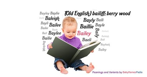 Check spelling or type a new query. Bailey - Meaning of Bailey, What does Bailey mean?