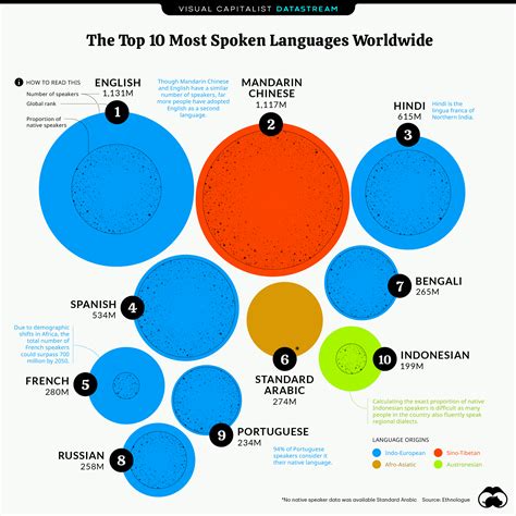 Most Widely Spoken Languages: Do You Know? - The Exchange Mom