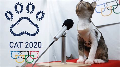 Tokyo Cat Olympic 2020 Opening Ceremony Youtube