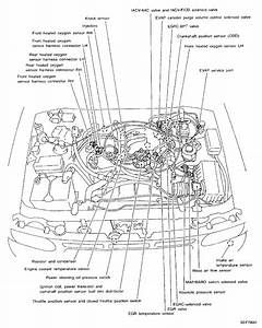 2000 Nissan Pathfinder Knock Sensor Wiring Diagram