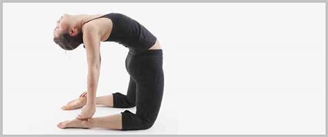 Themostdangerous camel pose benefits beauty of the body. Ustrasana and Their Benefits - VEDIC PATHS