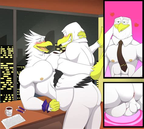 Rule 34 Anal Anal Sex Anthro Avian Balls Bird Chaotic Duo Elfein Frafdo Gay Male Male Only