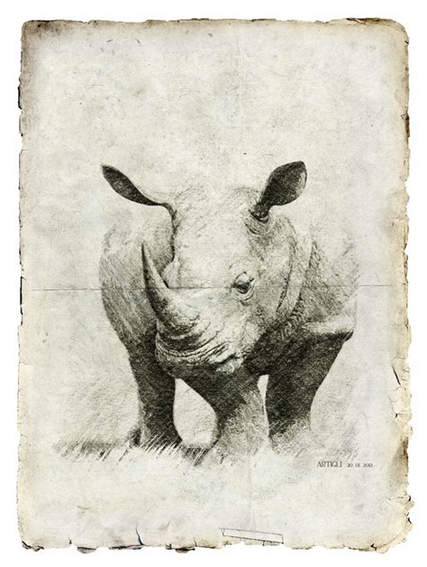 For The Rhinos Dieren