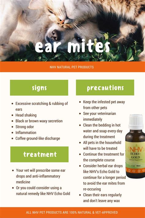 Echo Gold For Dogs Dog Ear Mites Dogs Ears Infection Cat Ear Mites