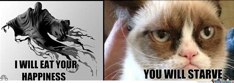 Grumpy Cat Destroys Dementor By Kristianstankovic79 Meme Center