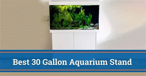 Top 8 Best 30 Gallon Aquarium Stands And 29 Gallon In 2023