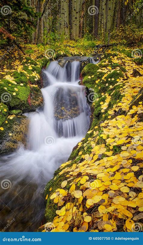 Fall Colors Waterfall Colorado Stock Photo Image Of Outdoors