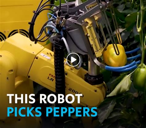 A Pepper Picking Robot
