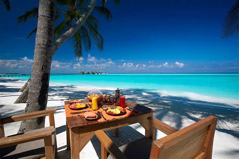 Gili Lankanfushi A Paradisaical Resort In Maldives