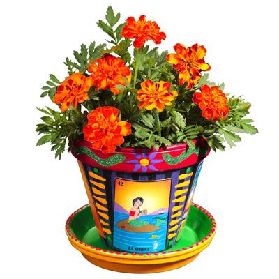 Download this free photo about pot with beautiful flowers, and discover more than 6 million professional stock photos on freepik. Flower Pot Part 1 - We Need Fun
