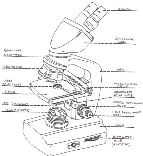 Simple Microscope Drawing With Parts Micropedia