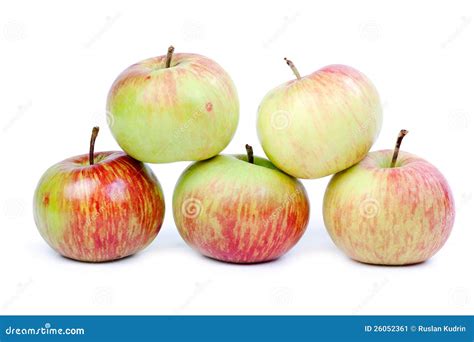 Five Ripe Apples On White Background Isolated Stock Image Image Of Green Isolated 26052361
